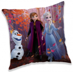 Disney Frozen / Die Eiskönigin - Kissen auch mit Olaf 40 x 40cm 